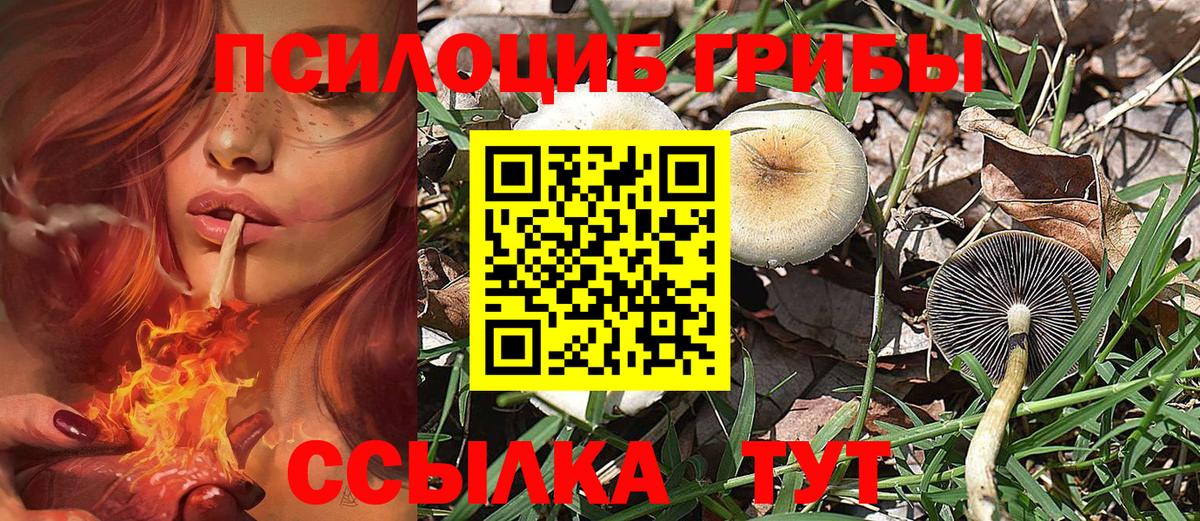 Псилоцибиновые грибы мицелий  Вход с VPN  Можга  Галлюциногенные грибы Cubensis 