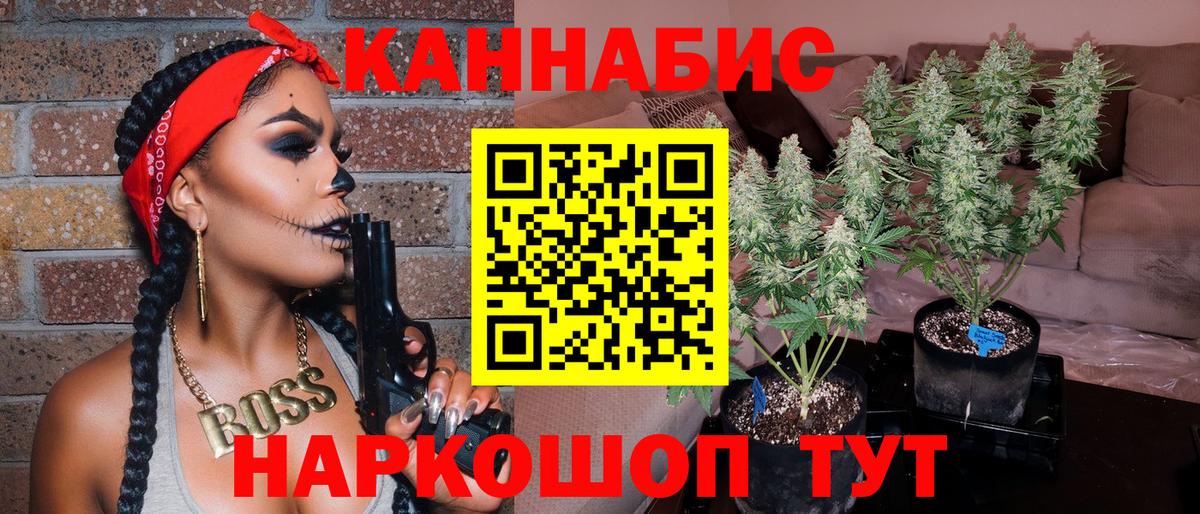 Шишки марихуана план  МАРИХУАНА Bruce Banner  Канабис Ganja  Вход с VPN  Можга 